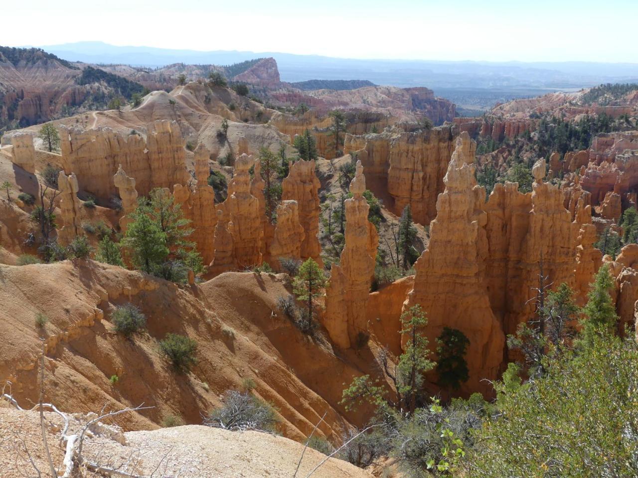 Private, Charming Cabin - Sleeps 5 - The Evergreen - Bryce Canyon National Park Cannonville Exterior photo